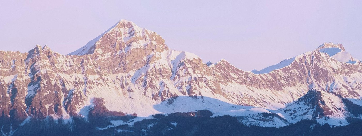 July 2024 newsletter banner